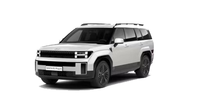 Hyundai Santa Fe Plug-in Vue Profil passager