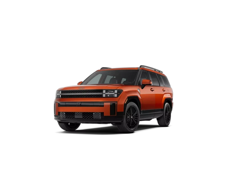 Hyundai Santa Fe Hybrid Vue Profil passager