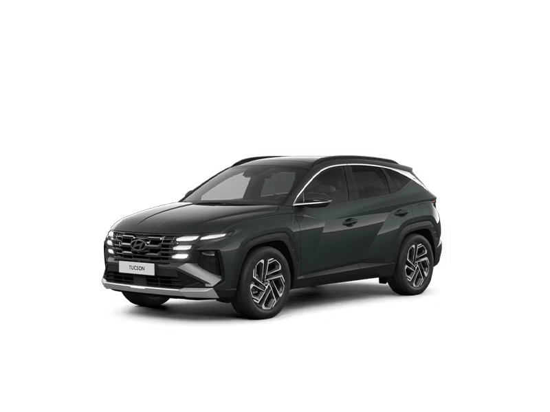 Hyundai Tucson Hybrid Vue Profil passager