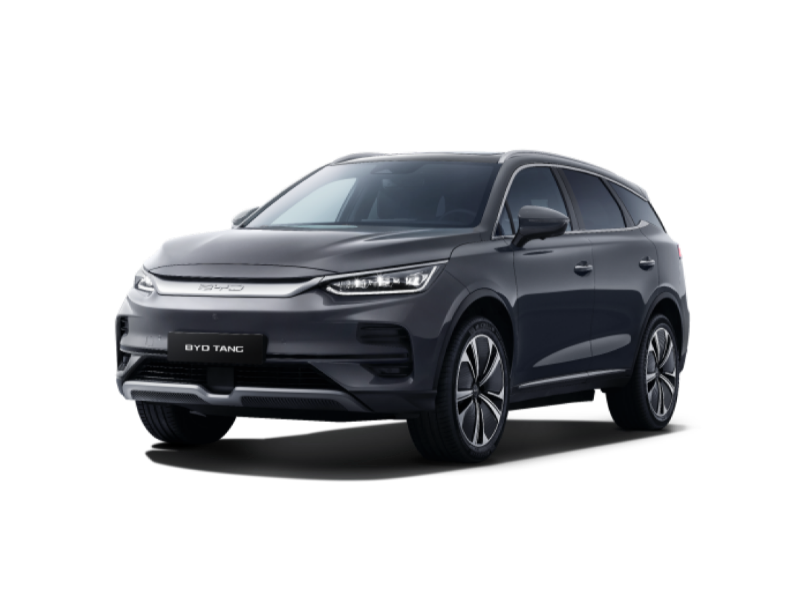 BYD Tang Vue Profil passager